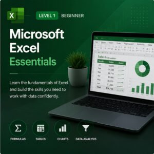 Microsoft Excel Essentials